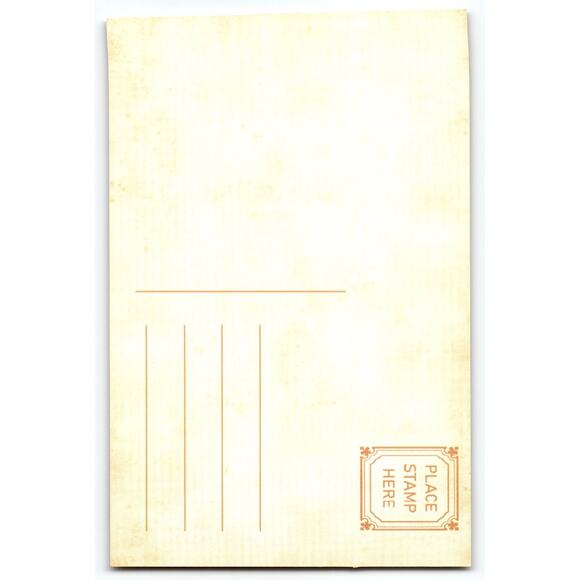 Vintage Halloween Witch Girl with Pumpkin Basket and Black Cat Postcard - Picture 2 of 2